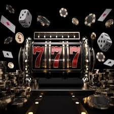 v79vip
