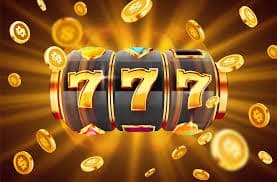 v79vip